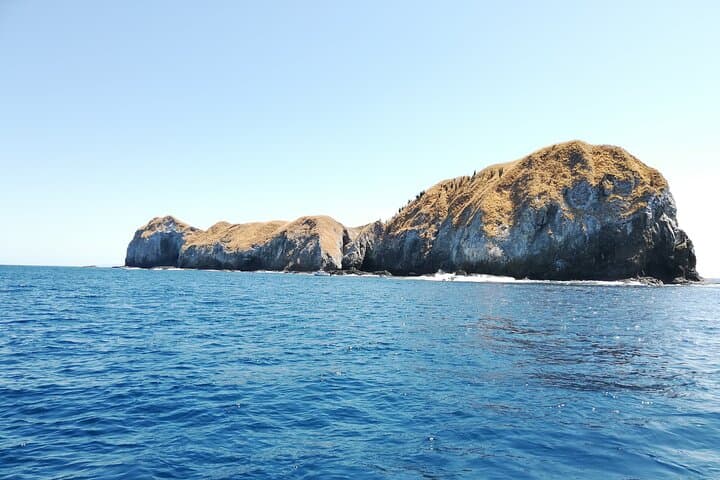 Scuba Diving Guanacaste: Two-Tank Dives from Flamingo & Las Catalinas photo 2