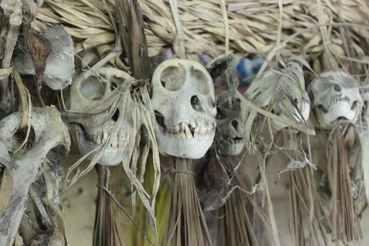Mentawai Tribe Encounter: 5-Day Cultural Immersion in Siberut National Park photo 4