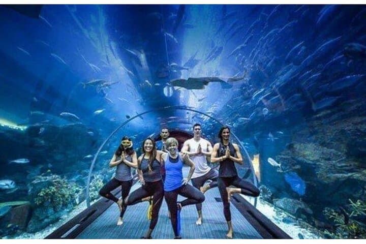 Dubai Mall Aquarium & Sky Views: Underwater Giants and a Glass-Floor Skyline photo 1