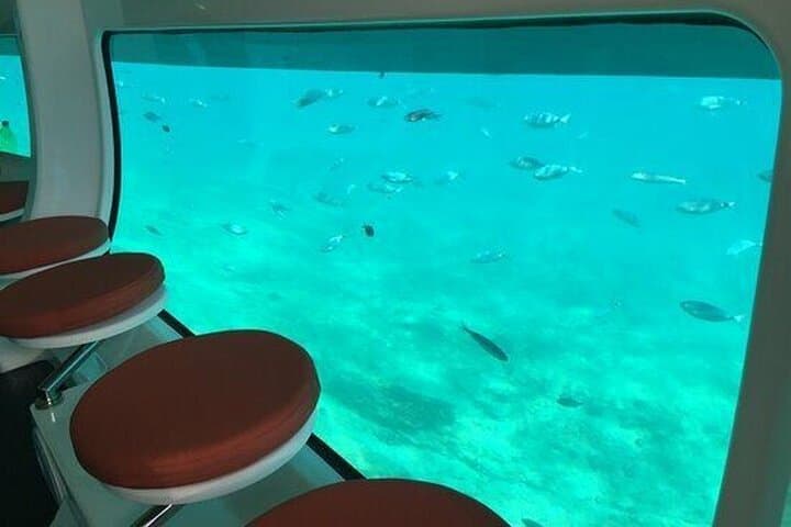 Saona Island & Yellow Submarine Day Trip from Punta Cana photo 6
