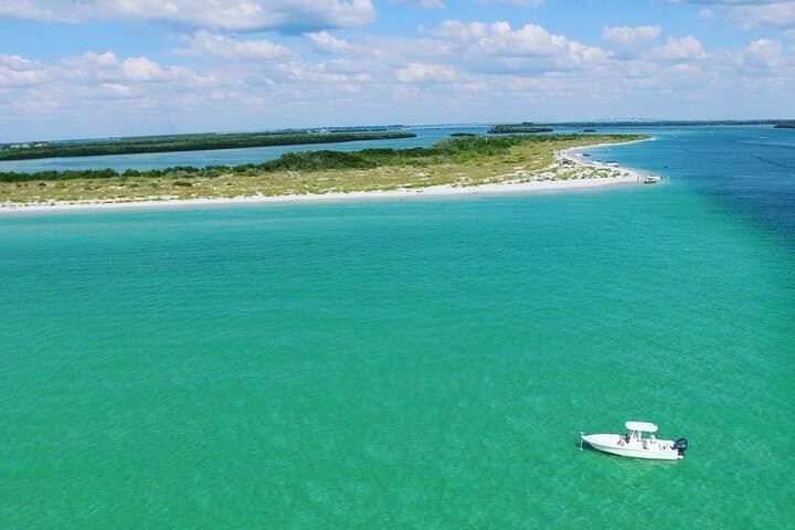 Private Dolphin Watching & Island Excursions from St. Petersburg
