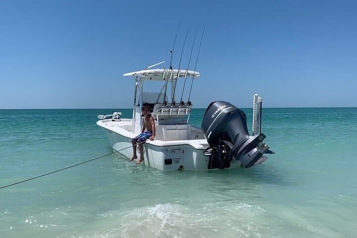 Private Dolphin Watching & Island Excursions from St. Petersburg photo 6