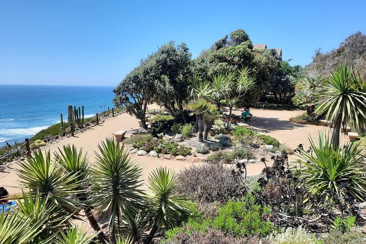 Half-Day E-Bike Explorer: North San Diego Coast — Encinitas to Del Mar photo 4