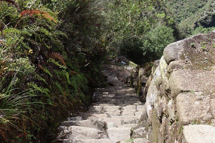 Inca Trail 4-Day Trek to Machu Picchu: Classic 42 km Trek Guide photo 4
