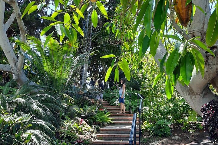 Half-Day E-Bike Explorer: North San Diego Coast — Encinitas to Del Mar photo 3