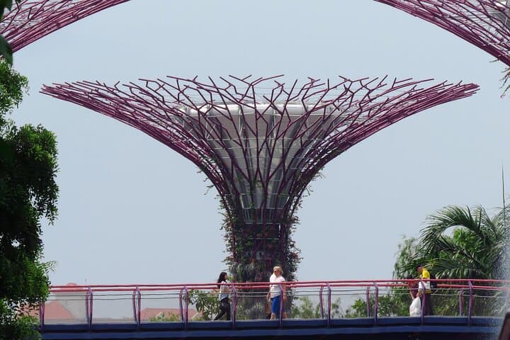 Gardens by the Bay: Cloud Forest & Flower Dome Experience in Singapore photo 2