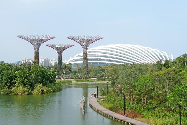 Gardens by the Bay: Cloud Forest & Flower Dome Experience in Singapore