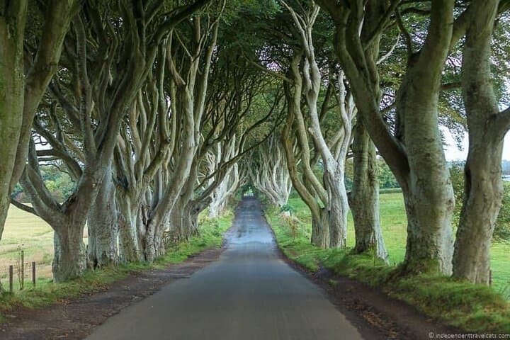 Private Full-Day Giants Causeway Tour from Belfast — Rope Bridge, Dark Hedges & Dunluce photo 2