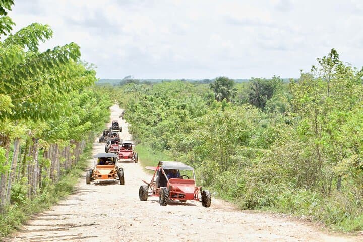 Punta Cana Buggy Eco-Adventure: Macao Beach, Caves & Farm Stops photo 2