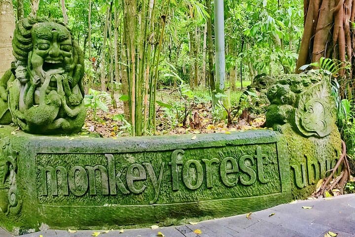 Full-Day Private Bali Highlights Tour: Ubud Monkeys, Rice Terraces, Temples & Beaches photo 2