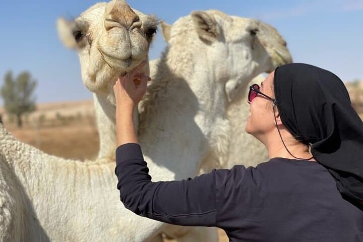 Second Edge of the World Tour — Tuwaiq Cliffs & Camel Tracks from Riyadh