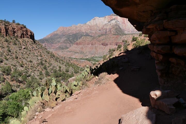 Zion Canyon in a Day: Small-Group Tour from Las Vegas to Zion National Park photo 4