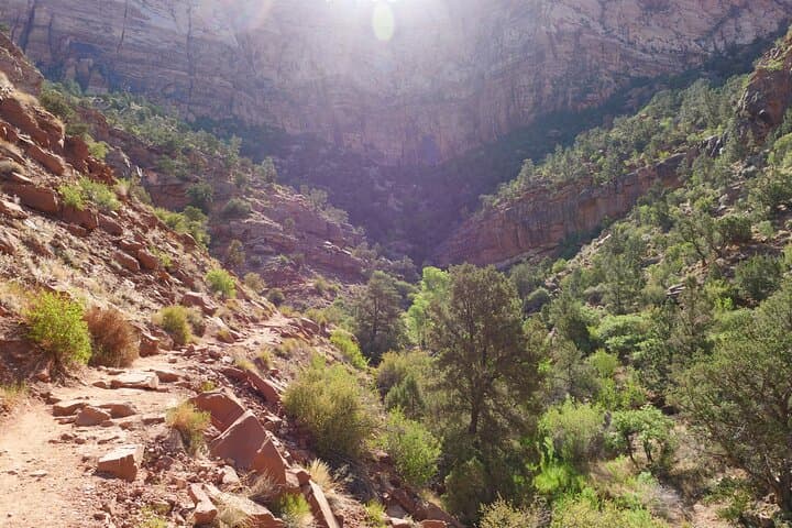 Zion Canyon in a Day: Small-Group Tour from Las Vegas to Zion National Park photo 6