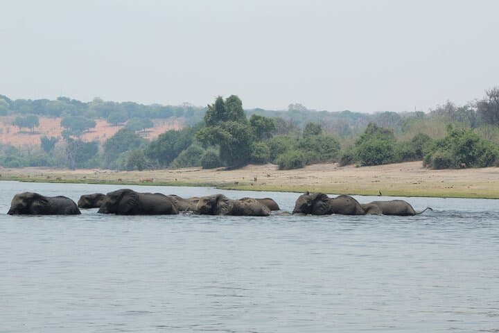 Mobile Camping Safari from Maun to Chobe: 12-Day Okavango & Chobe Wildlife Circuit photo 4