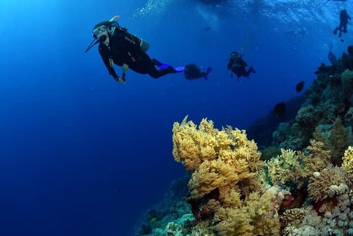 Ras Mohammed & White Island: Full-Day Boat Snorkel and Intro Diving from Sharm El Sheikh photo 2