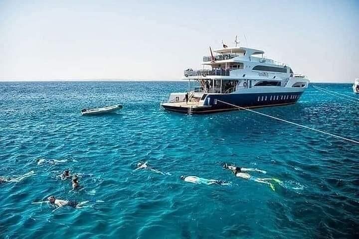 Ras Mohammed & White Island: Full-Day Boat Snorkel and Intro Diving from Sharm El Sheikh photo 4