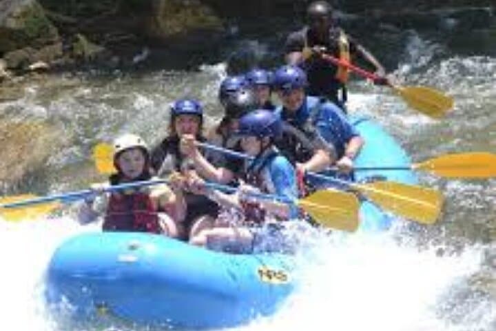 Rio Bueno River Tubing Private Tour from Montego Bay — Jungle Float Adventure photo 5