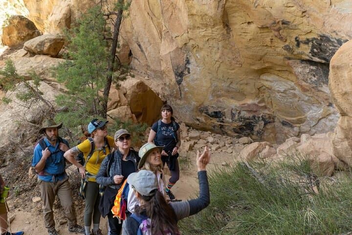 Private Mesa Verde Tour with Archaeologist-Trained Guide — Cliff Dwellings & Chapin Mesa photo 3