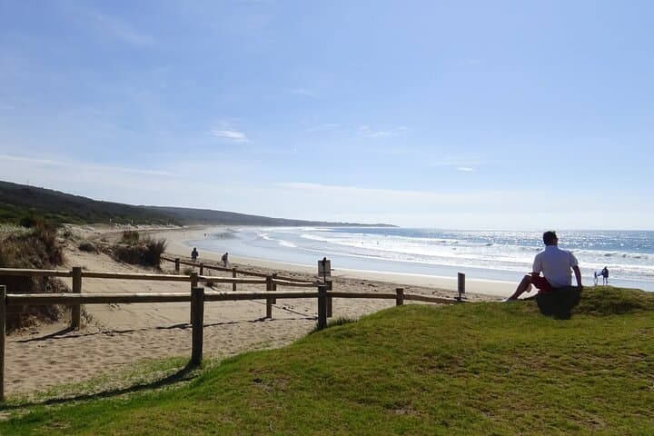 Great Ocean Road & 12 Apostles: Full-Day Scenic Tour from Melbourne photo 3