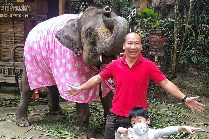 Half-Day Private Car Hire with English-Speaking Driver in Chiang Mai photo 5