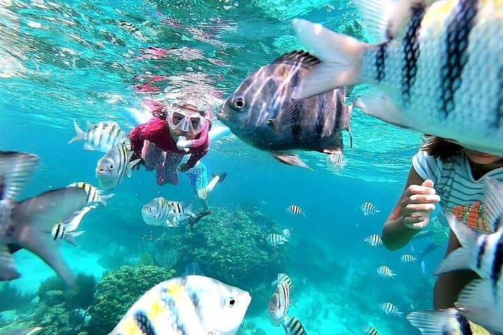 Private 28ft Grady White Charter: Stingray City, Coral Reefs & Starfish Point photo 3