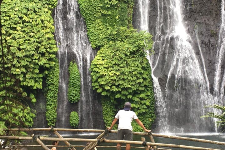 Ubud & Sanur to Menjangan Day Trip — Waterfalls, Hot Springs and Coastal Wilds
