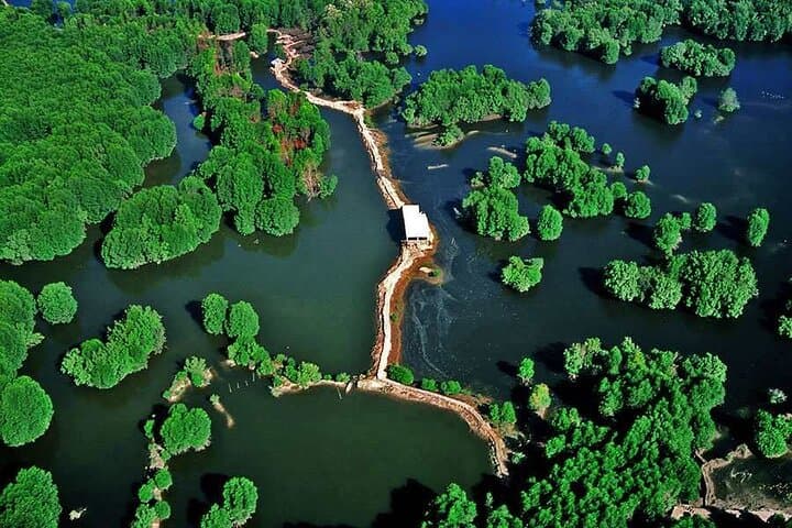Private Can Gio Mangrove Forest Day Trip from Ho Chi Minh City photo 2