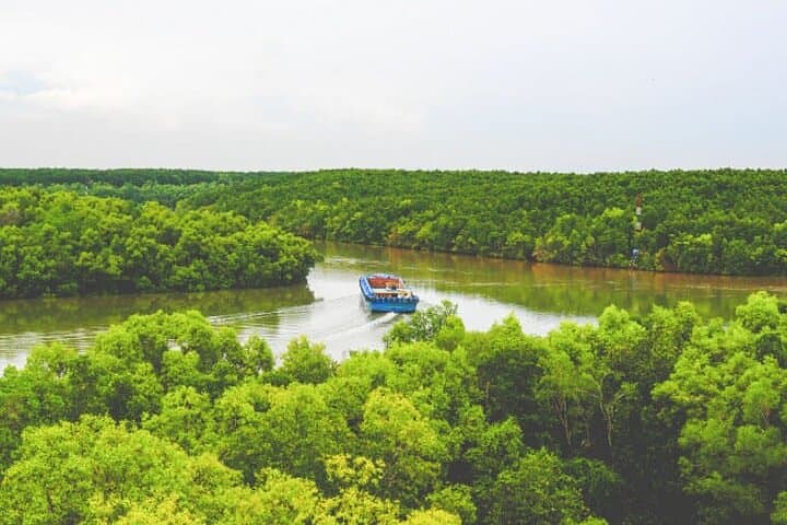 Private Can Gio Mangrove Forest Day Trip from Ho Chi Minh City photo 4