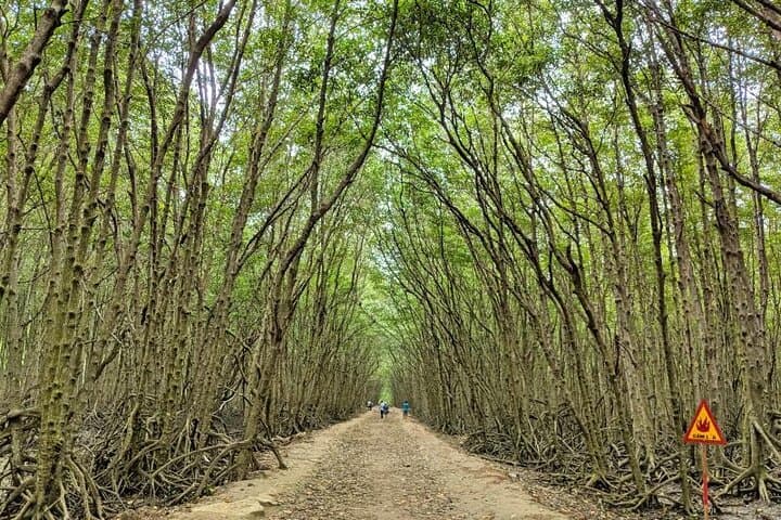 Private Can Gio Mangrove Forest Day Trip from Ho Chi Minh City photo 5
