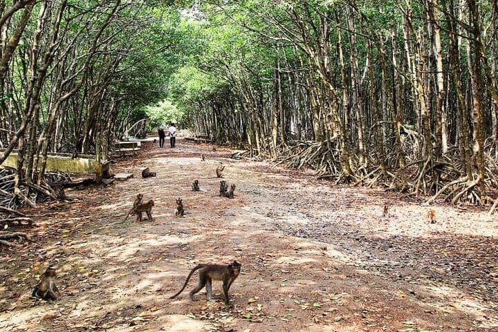 Private Can Gio Mangrove Forest Day Trip from Ho Chi Minh City photo 6