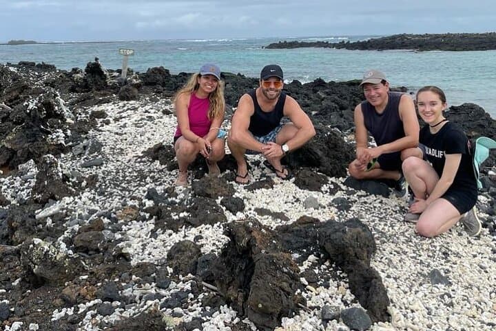 Day Trip to Isabela Island & Tintoreras — Snorkel with Penguins, Sharks and Turtles photo 2