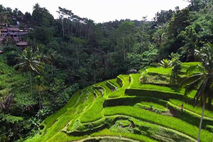 Private Ubud Tour & Mount Batur (Kintamani) Day Trip from Ubud photo 4