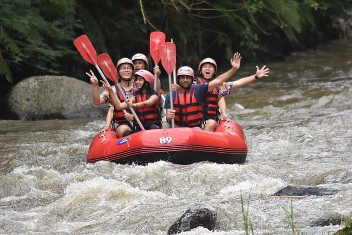 Ayung River Rafting Ubud: 12‑km Family‑Friendly Rapids and Carved Riverbanks photo 3