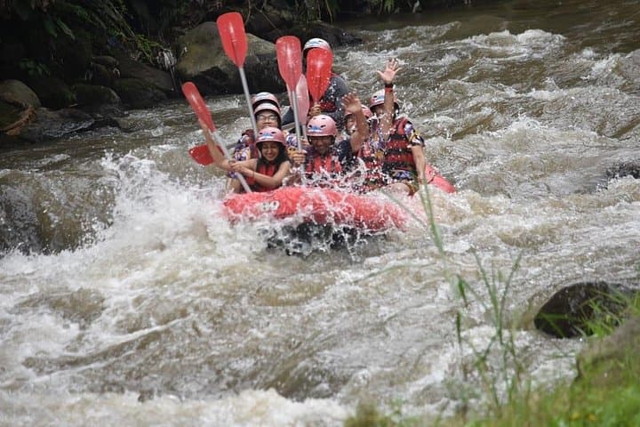 Ayung River Rafting Ubud: 12‑km Family‑Friendly Rapids and Carved Riverbanks photo 1