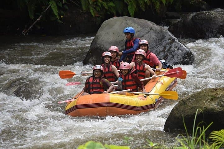 Ayung River Rafting Ubud: 12‑km Family‑Friendly Rapids and Carved Riverbanks photo 2