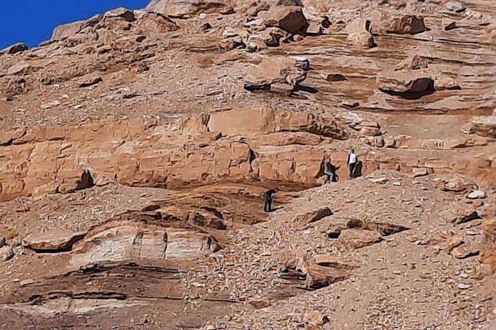 One-Day Safari to Egypt’s White Desert and Black Desert from Cairo photo 4