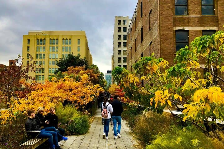 Walking the High Line: 75-Minute Small-Group Tour of New York’s Elevated Park