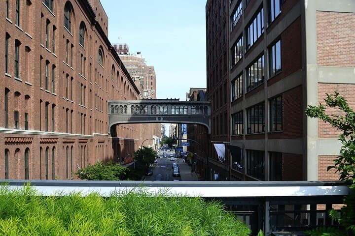 Walking the High Line: 75-Minute Small-Group Tour of New York’s Elevated Park photo 3