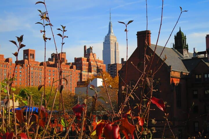 Walking the High Line: 75-Minute Small-Group Tour of New York’s Elevated Park photo 5