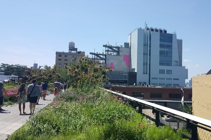 Walking the High Line: 75-Minute Small-Group Tour of New York’s Elevated Park photo 6