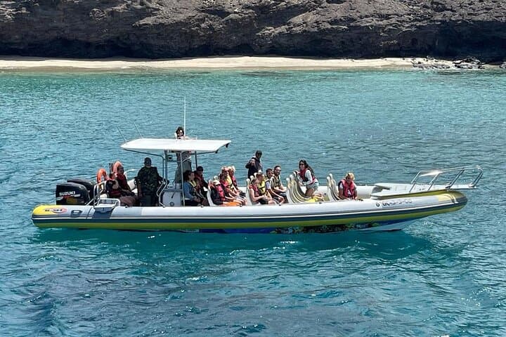 Fuerteventura Dolphin and Whale Watching with Snorkeling — 2-Hour Speedboat Tour photo 2