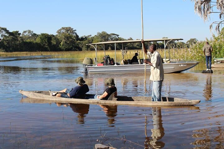 3-Day Okavango Mokoro Safari from Maun — Canoe the Delta & Guided Nature Walks