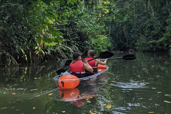 Clear-Kayak-Tour-Punta-Uva-Caribbean-Costa-Rica