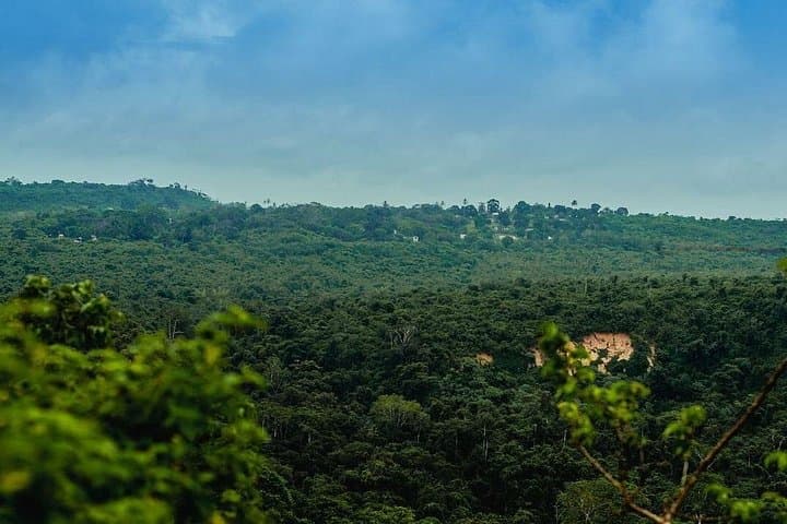 Pugu Hills Birding and Hike: Full-Day Nature Escape from Dar es Salaam