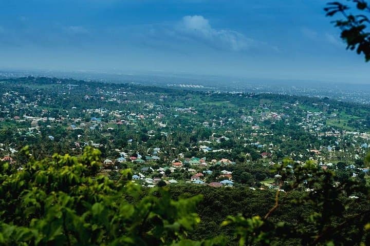 Pugu Hills Birding and Hike: Full-Day Nature Escape from Dar es Salaam photo 2