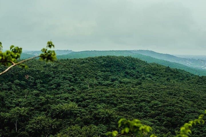 Pugu Hills Birding and Hike: Full-Day Nature Escape from Dar es Salaam photo 3