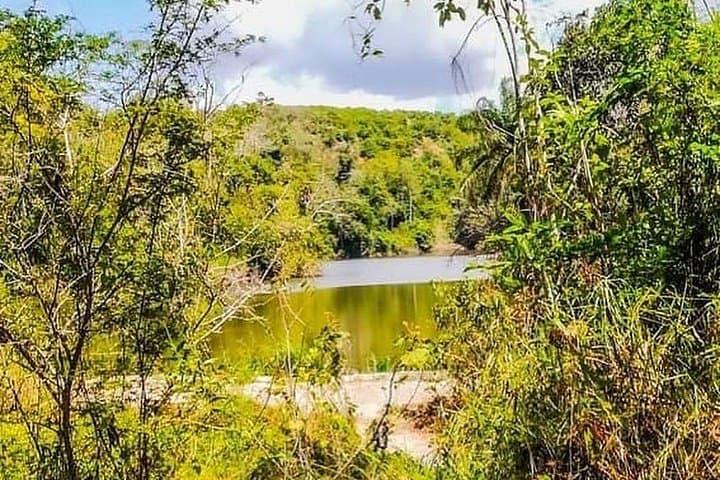 Pugu Hills Birding and Hike: Full-Day Nature Escape from Dar es Salaam photo 4
