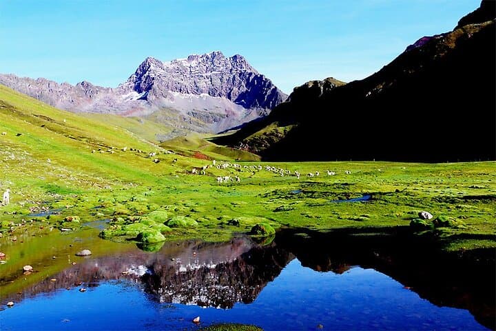 Overnight Rainbow Mountain Trek from Cusco — Vinicunca High-Altitude Hike photo 4