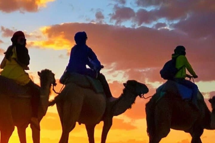 Sunset Camel Ride and BBQ Along Agadir's Souss River photo 2