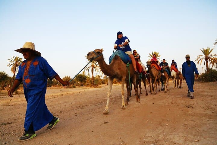 Sunset Camel Ride and BBQ Along Agadir's Souss River
